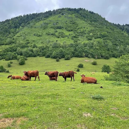 Avec Balcon Et Vue Sur Les Montagnes Bielle